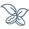 Hickory/Pecan icon