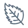 Nettle icon