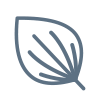 Plantain icon