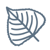 Poplar/Aspen/Cottonwood icon
