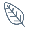 Sagebrush/Sage icon