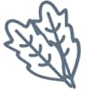 Sorrel/Dock icon