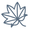 Sweetgum icon