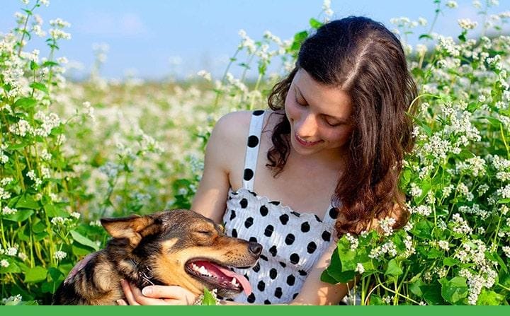 Allergy Basics young woman petting her dog in a field of flowers