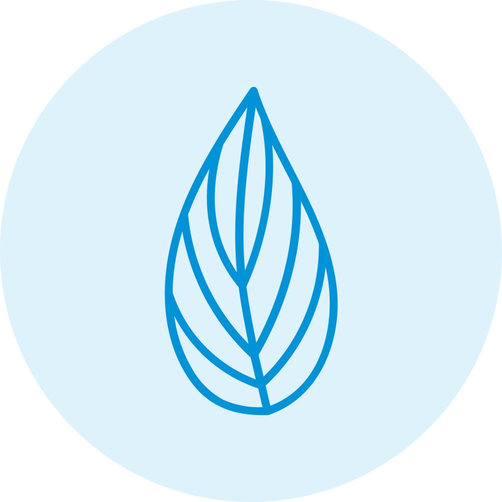 Árboles del medio oeste: icono de hoja de saúco, olmo o maple