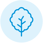 Tree icon