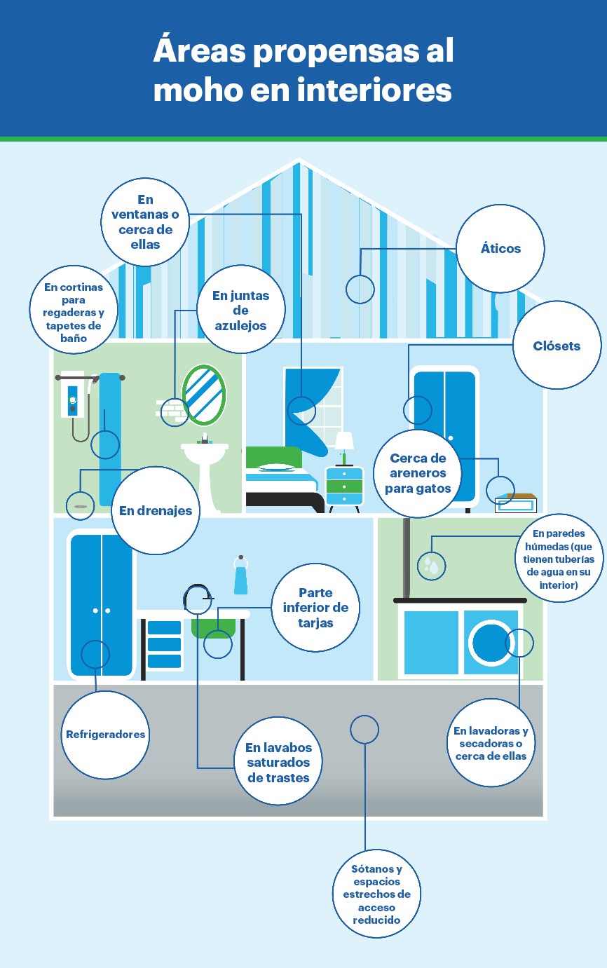 Infografía de una casa que muestra dónde se encuentran los puntos críticos de moho en el interior que podrían afectar a los brotes de alergia en el interior.